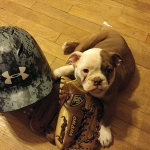 Meet your Posher, Penny